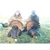 Image 5 : Illinois Youth Archery Whitetail Hunt