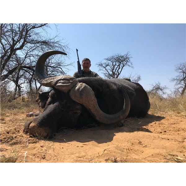 South Africa Cape Buffalo & Plains Game Safari