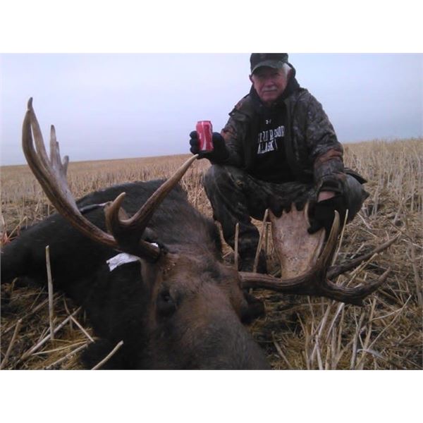 Saskatchewan Moose Hunt