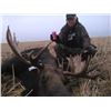 Image 1 : Saskatchewan Moose Hunt