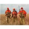 Image 5 : South Dakota Dove Hunting/Walleye Fishing Combo