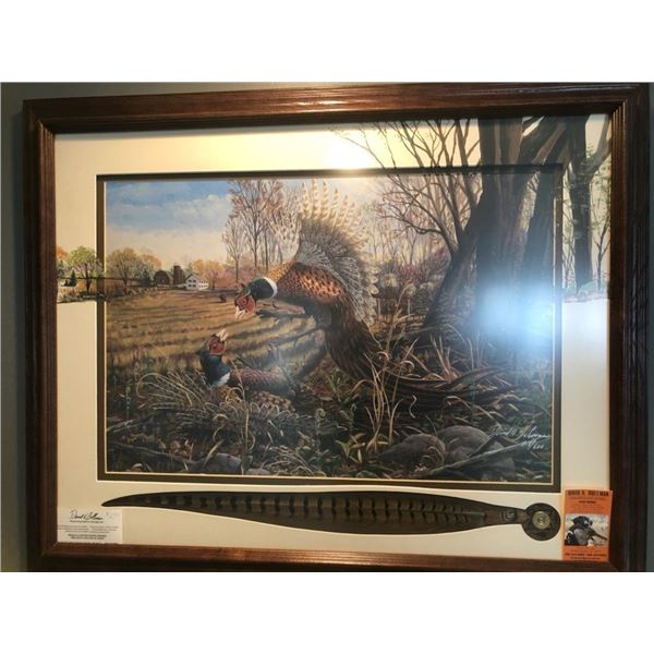 Framed Pheasant Print by David Bollman