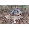 Image 5 : Kansas Trophy Whitetail Hunt