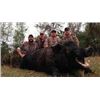 Image 5 : Florida Wild Hog Hunt