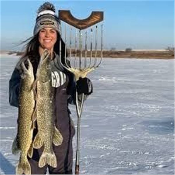 North Dakota –   3 Day Pike Spearing & Walleye  Fishing for 2 Anglers