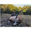 Image 4 : Texas Trophy Exotic Hunt
