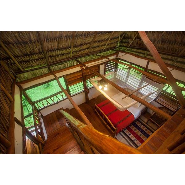 Belize Jungle Adventure