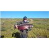 Image 10 : Alaska Sockeye Salmon Fishing Trip