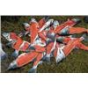 Image 11 : Alaska Sockeye Salmon Fishing Trip