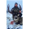 Image 5 : Saskatchewan Mule Deer or Whitetail Deer Hunt
