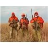 Image 2 : South Dakota Prairie Dog Hunt