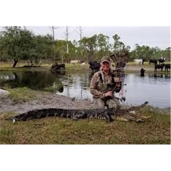 Florida Alligator Hunt