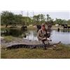 Image 1 : Florida Alligator Hunt