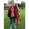 Image 5 : Alaska Salmon Fishing Trip
