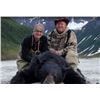 Image 1 : Alaskan Black Bear and Wolf Hunt