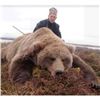 Image 2 : Alaskan Black Bear and Wolf Hunt