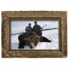 Image 5 : Alaskan Black Bear and Wolf Hunt
