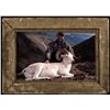 Image 9 : Alaskan Black Bear and Wolf Hunt