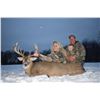 Image 7 : Luxury 4-Night Northern Michigan Whitetail Deer Management Hunt