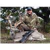 Image 2 : Texas Trophy Whitetail & Exotic Combo Hunt