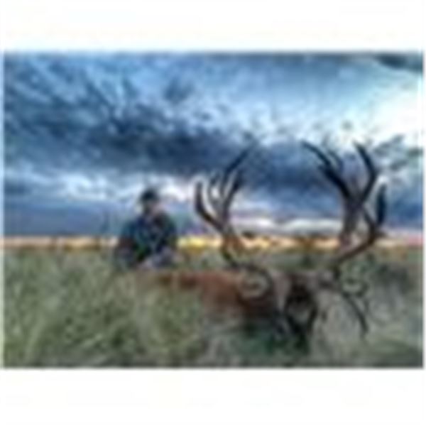 Argentina Big Game Hunt