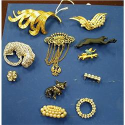 Collection of costume pins