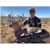 Image 1 : Fully Guided Trophy Coues Deer Hunt in Mexico