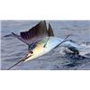 Image 1 : Full Day Fishing Trip for Two in Miami