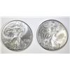 Image 1 : 2 1996 AMERICAN SILVER EAGLES