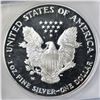 Image 3 : 2006-W AMERICAN SILVER EAGLE  ICG PR-70 DCAM