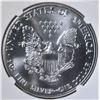 Image 3 : 1989 AMERICAN SILVER EAGLE NGC MS-69
