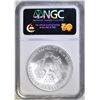 Image 4 : 2005 AMER SILVER EAGLE NGC MS-69 FIRST STRIKES