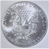 Image 3 : 2010 AMER SILVER EAGLE NGC MS-69 EARLY RELEASES