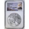 Image 1 : 2015 AMER SILVER EAGLE NGC MS-69 FIRST RELEASES