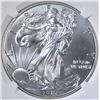 Image 2 : 2015 AMER SILVER EAGLE NGC MS-69 FIRST RELEASES