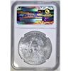Image 4 : 2015 AMER SILVER EAGLE NGC MS-69 FIRST RELEASES