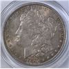 Image 2 : 1904 MORGAN DOLLAR PCGS MS-63