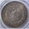 Image 3 : 1904 MORGAN DOLLAR PCGS MS-63