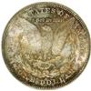 Image 2 : 1878 7TF $1 Reverse of 1878 MS64 NGC. NGC Census: