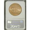 Image 2 : 1911-D $20 MS63 NGC. NGC Census: (2295/5211). PCGS