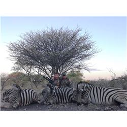 Botswana Management Hunt