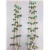 Image 3 : Three Strand Turquoise and Heishi Necklace
