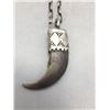 Image 1 : Silver Capped Claw Necklace and Handmade Chain
