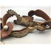 Image 2 : Two Pairs of Spurs and Rosettes