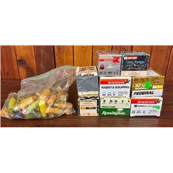 Group of Shotgun Ammo