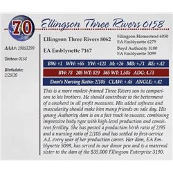 ELLINGSON THREE RIVERS 0158