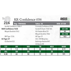 KR CONFIDENCE 036