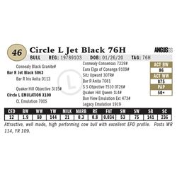 Circle L Jet Black 76H