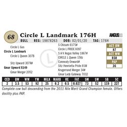 Circle L Landmark 176H