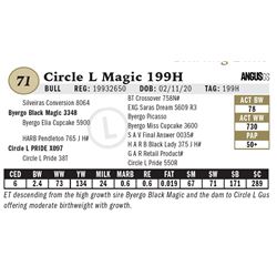 Circle L Magic 199H